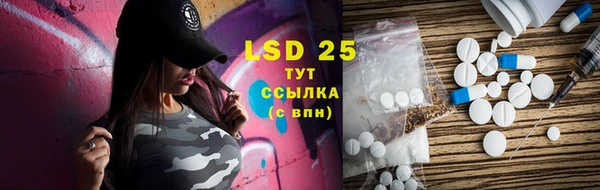 индика Володарск