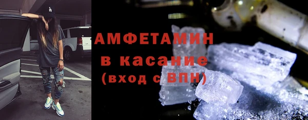 индика Володарск