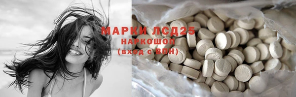 ПСИЛОЦИБИНОВЫЕ ГРИБЫ Волосово