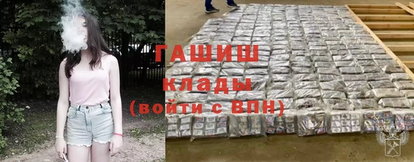 индика Володарск