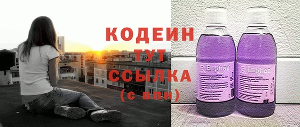 индика Володарск