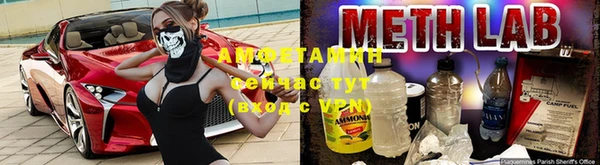 индика Володарск
