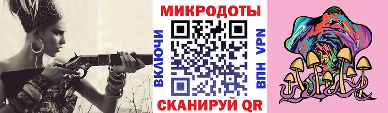 Псилоцибиновые грибы GOLDEN TEACHER  Купить где  Большой Камень 